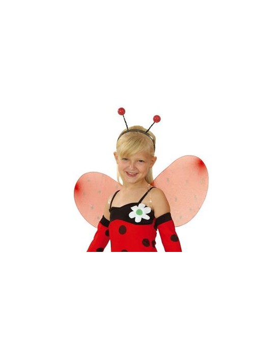 OPASKA BIEDRONKA CZUŁKI