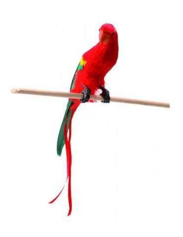 Papuga z Prawdziwych Piór 30Cm 52354