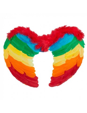 Skrzydła Anioła Tęczowe 50x35 52847T