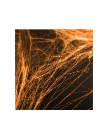 Pajęczyna Halloween, pomarańcz, 60g, 1sz t.