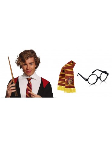 Zestaw Harry Czarodziej...