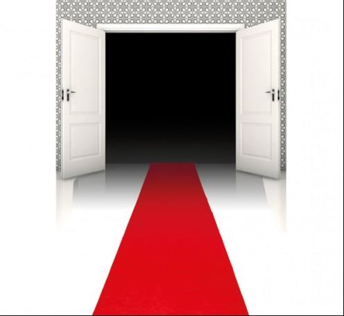 1 Dywan Czerwony Hollywood 24000 60x450cm VIP Celebryta dla gwiazd