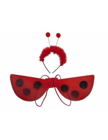 Zestaw Biedronka CA242