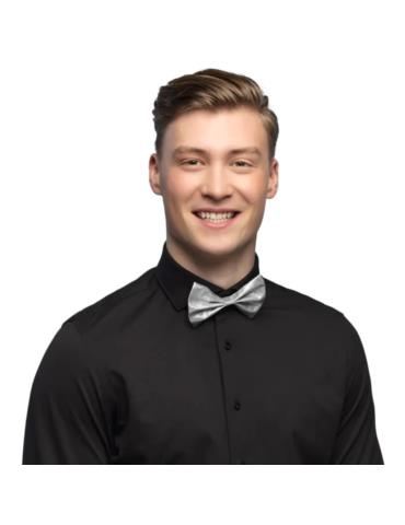 Mucha srebrna z brokatem 53111